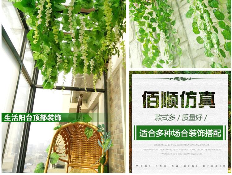 阿里葡萄叶_10