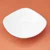 Plato de melamina para uso comercial imitación porcelana plato de cantina comida rápida