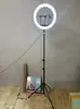 Luz de preenchimento LC360 ajuste por toque controle remoto Ajuste Luz de beleza 14 polegadas três posições para celular Nova luz de preenchimento para live