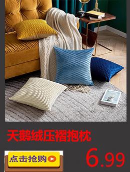 7天鹅绒压褶抱枕.jpg