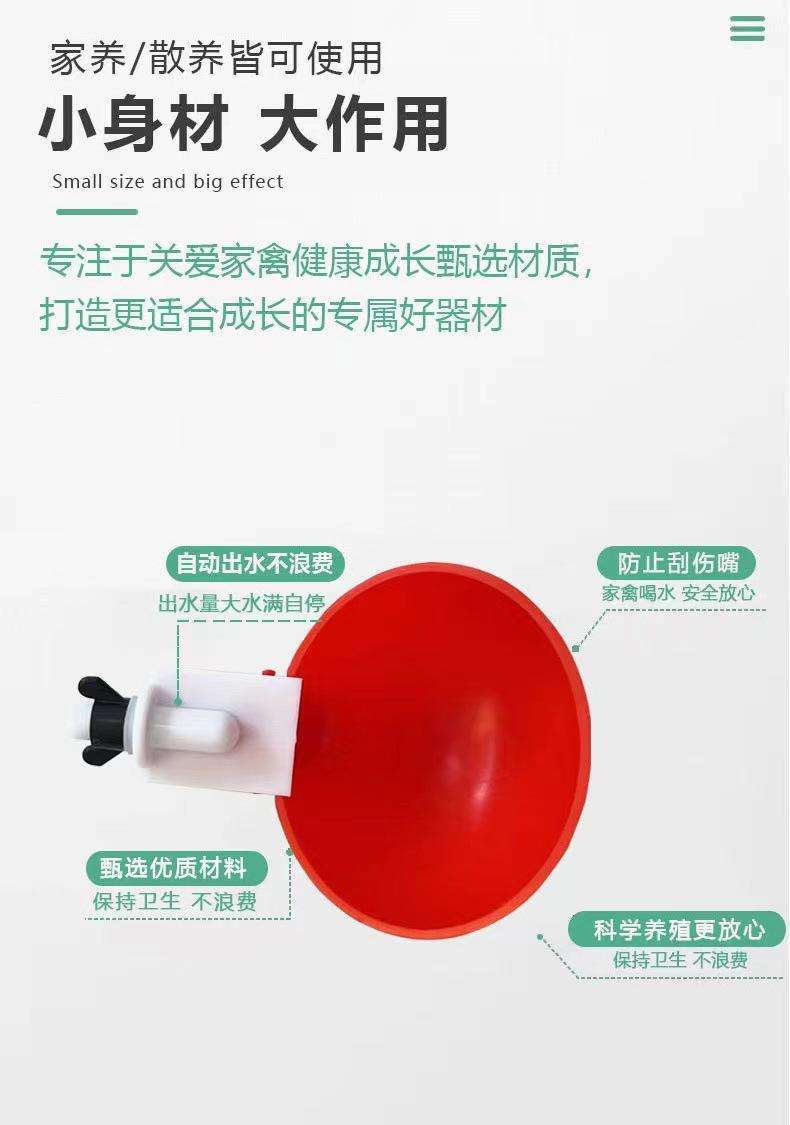 详情页 (16).jpg