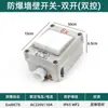 Interruptor de Pared Antiexplosión 220V10A Tipo de Montaje Superficial y Empotrado 86 Metal Monobloque Doble Control Enchufe Industrial para Taller de Fábrica