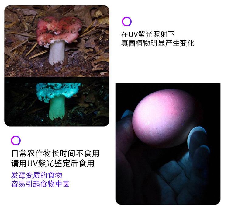 未标题-1_14.jpg