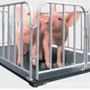 Balança de Piso para Fazendas 1-3 Toneladas Balança com Cerca para Gado Balança para Gado Balança de Plataforma para Porcos Balança de Piso Espessa de Alta Precisão