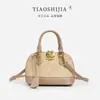 Bolso de Mujer 2026 Nuevo Modelo Lujo Ligero Nicho Exquisito Bolso de Concha Bolso de Mano Pequeño de Gama Alta Bolso Versátil para Hombro Cruzado