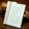 Gestión de la Empatía, un libro para resolver problemas de gestión, curso de gestión de alto coeficiente emocional que los gerentes no conocen