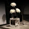 Conjunto de Aromaterapia Sem Chama Tishixuan para Casa Banheiro Interno Frasco de Fragrância Desodorizante com Varetas de Rattan e Flores Secas para Frescor do Ar de Longa Duração