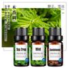 Caja de aceites esenciales de aromaterapia solubles en agua transfronteriza difusor humidificador planta lavanda traje de aceites esenciales de aromaterapia unilateral