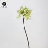 Venda Direta da Fábrica Flores Artificiais Lírio Clívia Galhos Decoração Adereços para Fotografia de Casamento Acessórios para Casa Design de Exibição