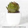 Suculentas Simuladas Personalizadas Cerámica Bonsái Plantas Verdes Escandinavas Adornos Hogar Interior Sala de Estar Flores Falsas Suculentas Plantas en Maceta