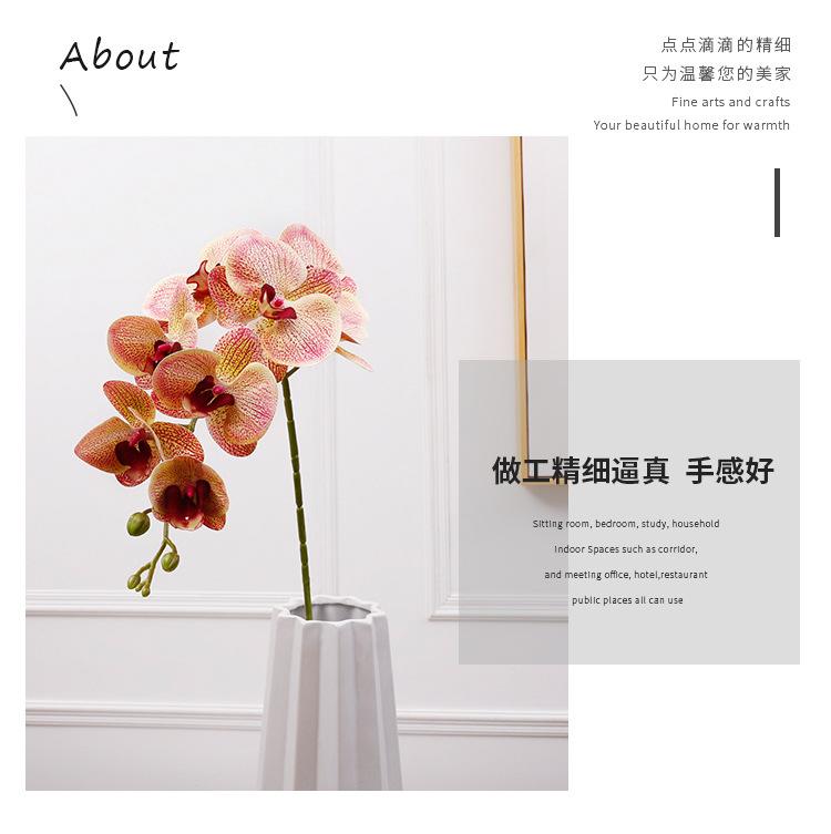 3d6头小兰花_02.jpg