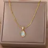 Colar Oval de Aço Titânio de Entrada Simples de Luxo Nicho Pingente Olho de Gato Corrente da Clavícula Design Elegante Joia de Alta Qualidade