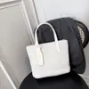 Bolso de Cubo de Peluche de Mano para Mujer 2025 Otoño e Invierno Nuevo Estilo Coreano Ins Versátil Moderno de Terciopelo Tipo Pan Bolso de Hombro