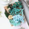 [Kit de Materiales para Repujado A5] Flores Secas Flores Preservadas Marco de Fotos Kit de Materiales para Repujado Materiales Florales DIY Vela Aromática Flores Secas