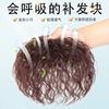 Topper de Cabello para Cubrir Canas, Peluca de Cabello Real para Mujeres, Extensiones de Cabello, Permanente de Maíz, Cabello Rizado Esponjoso para Cubrir Canas