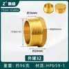 Enchufe a Prueba de Explosiones de Rosca Hexagonal Exterior de Cobre de 4 Puntos Cable Enchufe Tapa de Enchufe de 6 Puntos Tapón de Tubería de Pared de 1 Pulgada con Diente Interior Tapa para Tubería de Agua