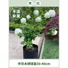Plántulas de Hortensia de Madera China Cubo de Plantación para Exteriores Bola de Arpillera Semillas de Flores Patio Casa Montón Viejo de Madera Plantas en Maceta