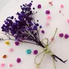 Cartão de Cumprimentos Dobrado com Flores Secas de Gipsofila Transfronteiriço para Bênçãos, Presentes, Cartão de Mensagem de Feriado Aniversário em Formato de Coração, Aposentadoria