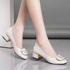 Sapatos de Bico Fino Salto Médio Camada Única Sapatos Femininos 2025 Primavera Novo Sapatos Femininos de Alta Qualidade Sola Macia Salto Grosso Combina com Tudo Casual Sapatos de Verniz para Mulheres