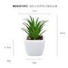 Em estoque simulação carnuda pequena sabgrass vaso desktop pequenos ornamentos presente mini bonsai verde TEMU simulação planta