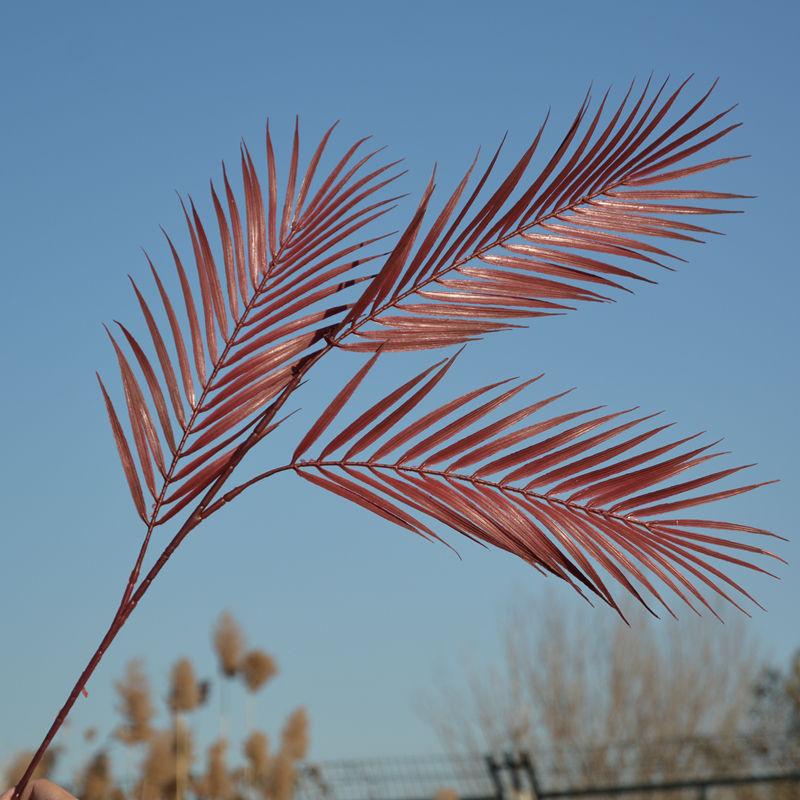 DSC_4587_副本