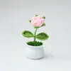 Planta en Maceta Terminada Flor de Rosa Ramo Tejido a Mano Terminado Flor Eterna Día del Maestro Día del Niño Regalo Puesto del Mercado Nocturno