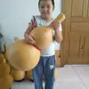 1.0m Calabaza Grande Calabaza Extra Grande Adorno Colgante Feng Shui Sala de Estar Oficina con Grifo Calabaza Wenwan