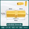 Adaptador alargado directo de doble cable exterior de cobre, nuevo, para tubería de agua de grifo, 4 puntos, 6 puntos, cable corto DN15 a cable de 4 puntos