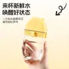 Venta Caliente Bebedero Alimentador Automático para Pájaros Accesorios para Jaulas de Loros Pájaro Suministros Herramientas Dispensador de Agua Alimentador Agua de Bebida