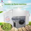 Secador de flores Blue Sky Sea Air Energy Water Grass Water Moss Dryer Bomba de calor Moss Dryer totalmente automático