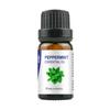 Al por mayor 10ml Aceites Esenciales de Planta Única Rosa Lavanda Masaje Aromaterapia Belleza Facial Fragancia Cuidado de la Piel Muestra Planta
