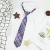 Xadrez Grátis Estilo Japonês Uniforme JK Gravata Pequena Feminino Tendão Preguiçoso Estudante Masculino Harajuku Uniforme Escolar Estilo Preppy Moderno