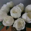 Hacker Queen Jugo Rosa Maceta Balcón Patio Villa Flor Planta Cuatro Estaciones Dropshipping