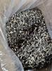 Hongo Oreja de Madera Negro, Hongo de Pollo de Piel Negra, Origen y Fuente de Suministro, Hongo de Pollo Artificial, Fuente de Suministro de Taobao, Buscando Agentes