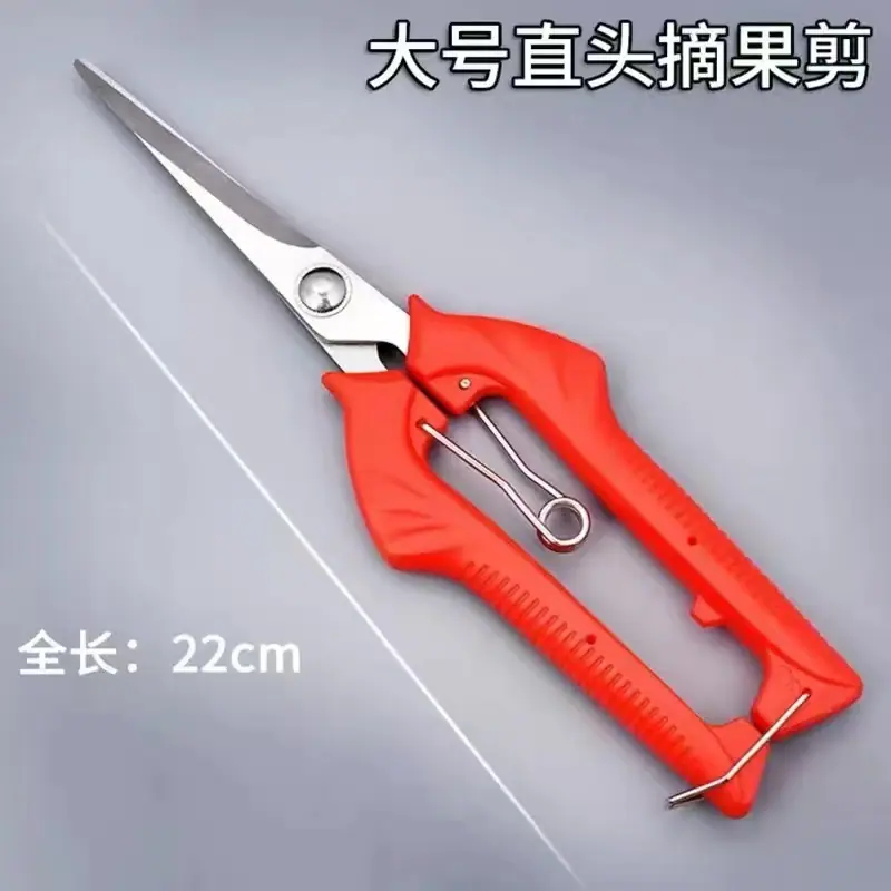 926504ce7b850012df27ede461b49c