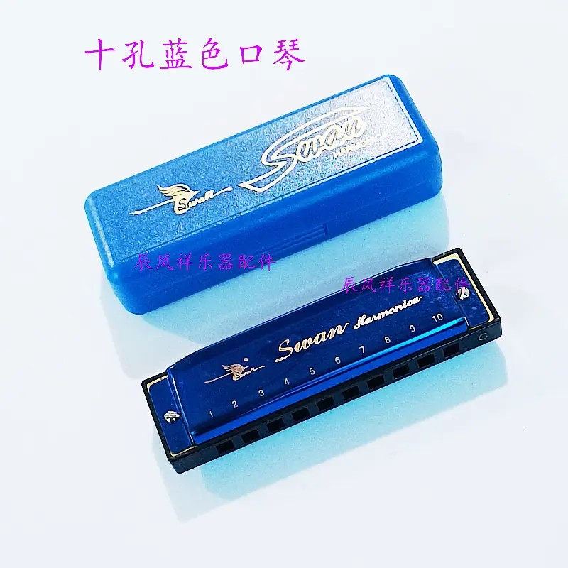10孔蓝色5