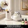 Linda piedra difusora de gatito para uso doméstico interior de larga duración, piedra aromática de cristal de alta calidad para aceites esenciales, decoración para dormitorio, habitación y sala de estar