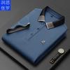 Camisa polo Runenboro para hombre, color liso, cuello de solapa, bordado en cuello de computadora, transpirable, suministro para comercio electrónico para hombre, camiseta para hombre
