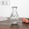 Vaso Pequeno Criativo Popular de Alta Qualidade da Amazon, Estilo Ins, Decoração de Vaso de Vidro de Alto Valor para Sala de Estar e Mesa de Jantar