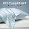 Funda de almohada Lyocell Tencel Doble cara de seda helada Juego de dos para uso doméstico Color sólido individual 48cmx74cm Núcleo de almohada 2