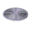 Tira de Luz LED Personalizada Autoadhesiva para Sala de Estar 24V120D Bajo Voltaje 20m Sin Caída de Voltaje Lineal Tira de Luz 2835
