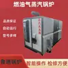 Generador de Vapor a Gas, Caldera de Vapor para Procesamiento de Alimentos, Productos de Frijol y Elaboración de Cerveza, Caldera de Vapor a Gas