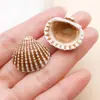 Serie de Vacaciones Seaside Estilo Europeo y Americano Colgante de Caracola Acrílica Accesorios de Joyería Materiales DIY de Concha Simulada Venta al por Mayor