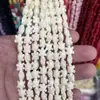 Serie Oceánica Polvo de Concha Compactado Forma de Estrella de Mar Tortuga Cuentas para Pulsera Collar DIY Accesorios de Joyería Venta al por Mayor