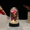 Cubierta de Cristal de Flor Eterna Transfronteriza con Flores de Pan de Oro y Luces LED de Colores, Decoración Creativa de Regalo Romántico para San Valentín y Navidad