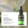 Líquido de Recarga para Difusor de Aromaterapia sin Fuego, Fragancia de Aceite Esencial para Interiores, Difusor de Fragancia Soluble en Aceite, Líquido de Aromaterapia para Sala de Estar, Venta al por Mayor de Aceites Esenciales