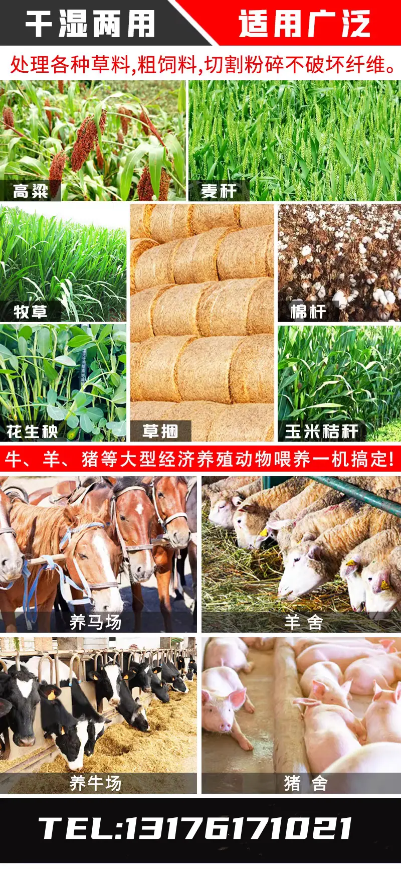 立式搅拌机7.png
