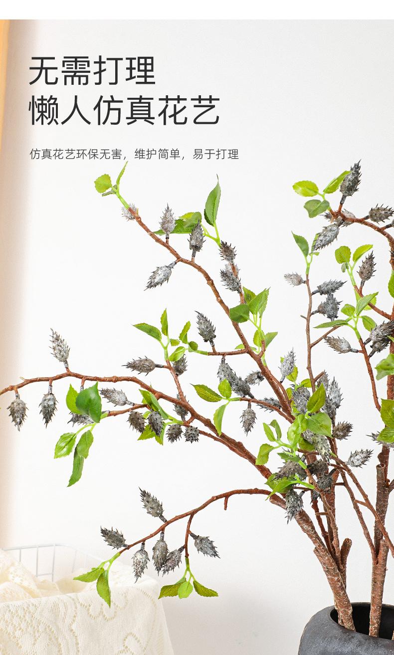 中枝橄榄果详情图