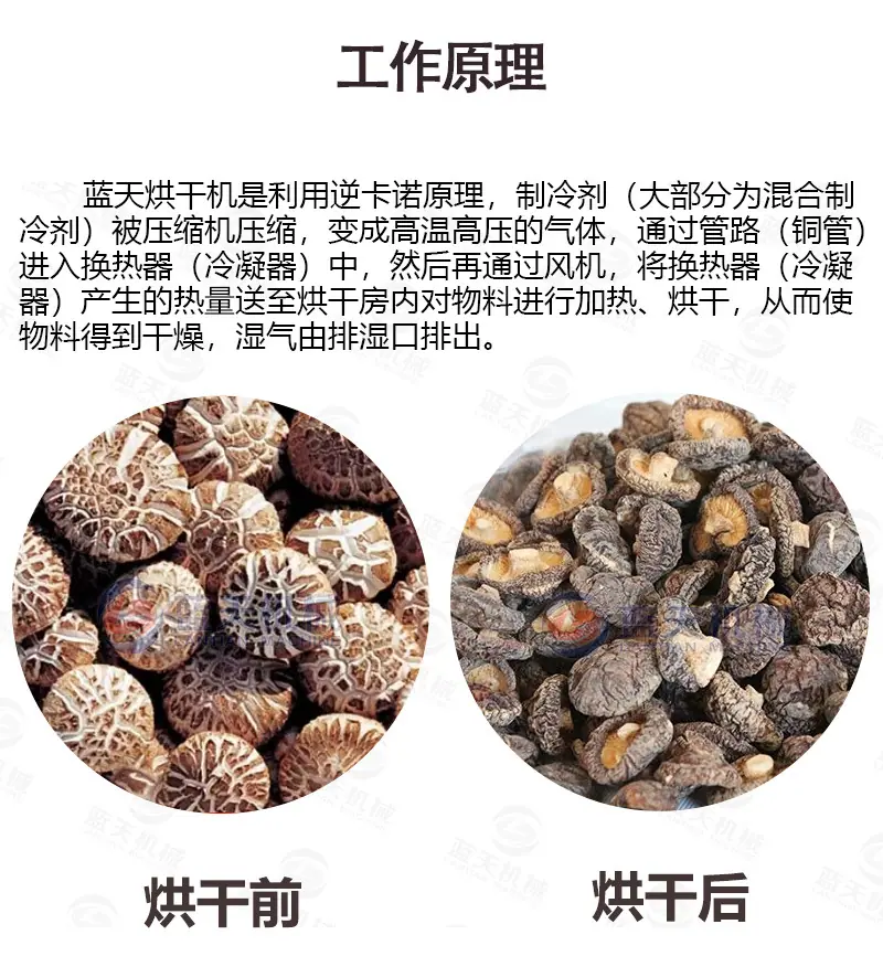食品(20盘)_05.jpg