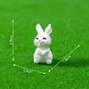 Novos ornamentos pequenos para micro paisagem animais pequenos 12 ornamentos de resina para micro paisagem animais pequenos de desenho animado fofos 12